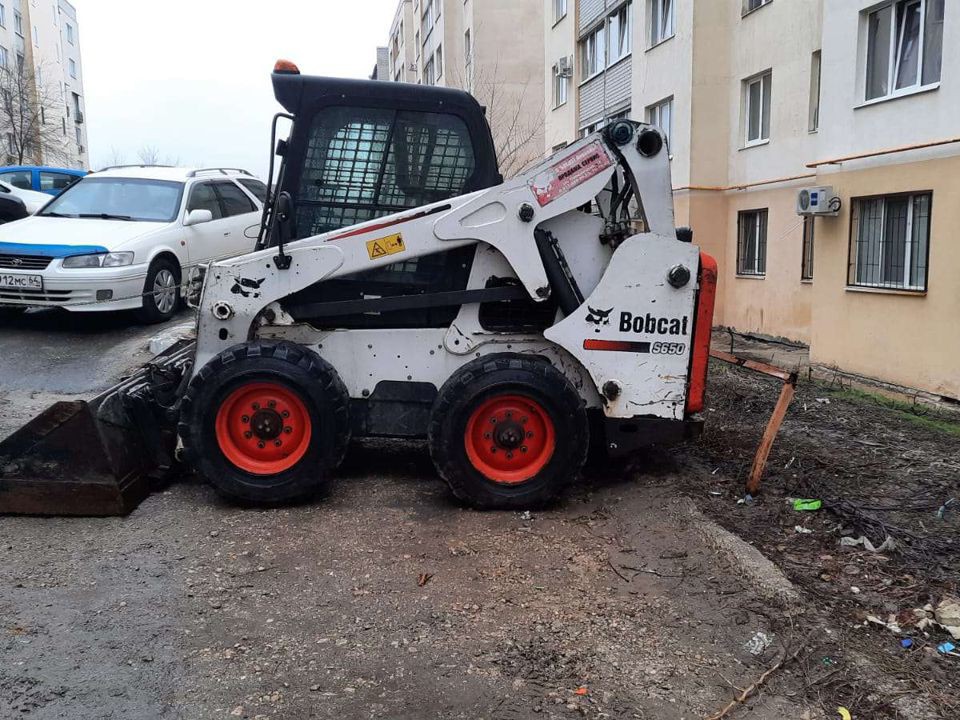 Сдаю в аренду бобкет