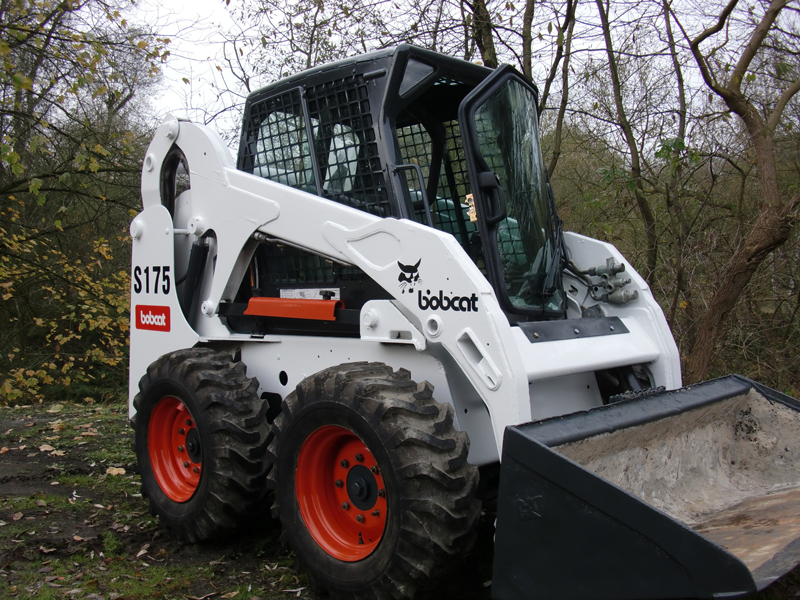 Услуга аренды bobcat s175