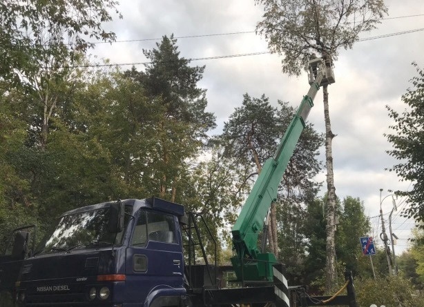 Услуги автовышки от собственника Николай