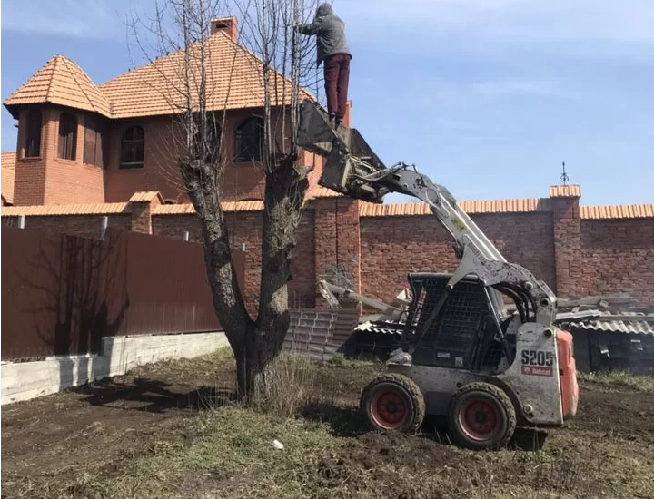 Основное изображение