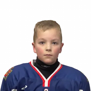 Лейтис Лев Артурович
