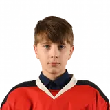 Никитин Илья
