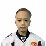 Соколов Дамир