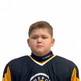 Плотников Семён