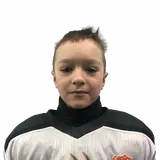 Гавриков Арсений