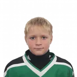 Огнев Александр