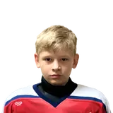 Снигирев Артем