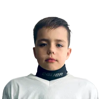 Шамеев Роман Александрович