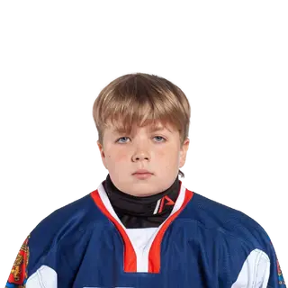 Ситников Данила Дмитриевич