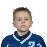 Бродников Денис