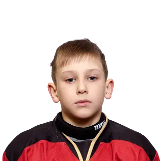 Шильников Дмитрий Николаевич