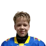 Полежаев Родион