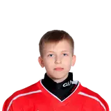Гриценко Денис