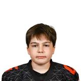 Ильин Максим