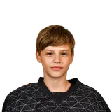 Панов Артемий