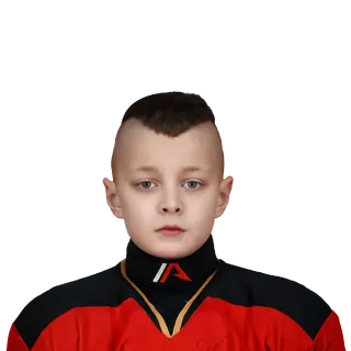 Андреев Станислав Дмитриевич