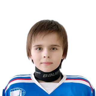 Богомолов Марк Максимович