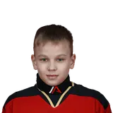 Полонский Владимир