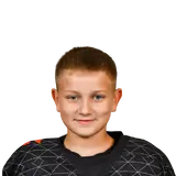 Чикин Роман