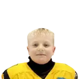 Сафонов Егор
