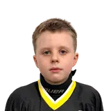 Неверов Лев