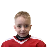 Мишкинов Демид