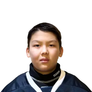 Гали Амир