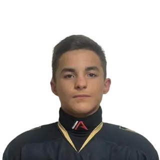 Базров Дамир Игоревич