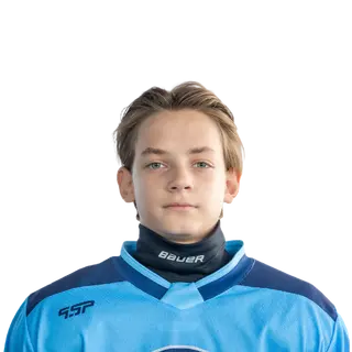 Лаврентьев Роман Иванович