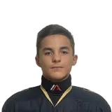 Базров Дамир
