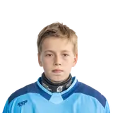 Шипицин Михаил