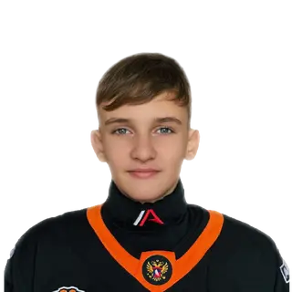 Решетников Степан Игоревич