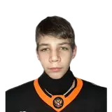 Гостев Никита
