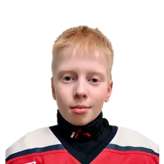 Аникин Артем Сергеевич
