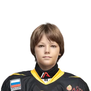 Ронин Ефим Александрович