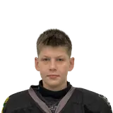 Стариков Иван