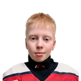 Аникин Артем