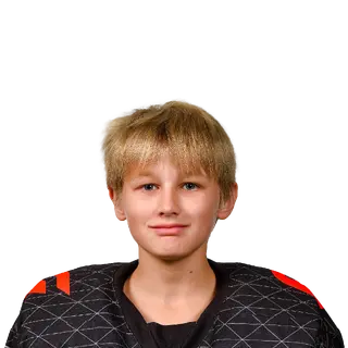 Комаров Лев Ильич