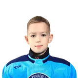 Кошелев Мирослав