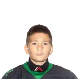 Дворников Александр