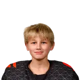 Комаров Лев