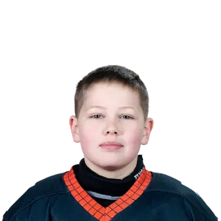 Гудов Дамир Сергеевич
