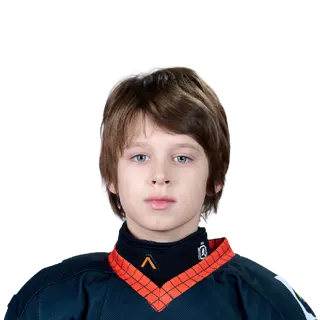 Анисов Артемий Петрович