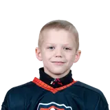 Бражников Михаил