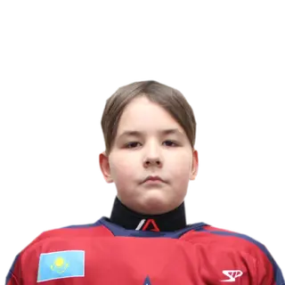 Дручинин Андрей