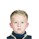 Григорян Дамир