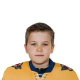 Долгополов Герман