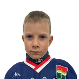 Рукавицин Дмитрий