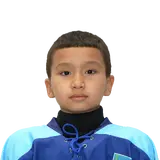 Бейсен Амир