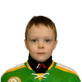 Шевелев Владимир